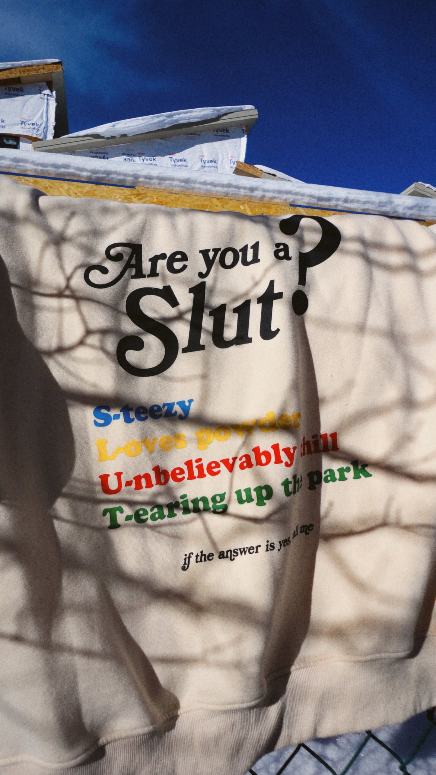 “Are You A…” Hoodie