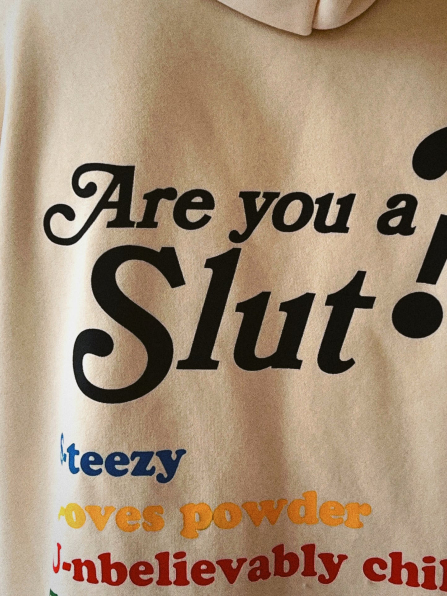 “Are You A…” Hoodie