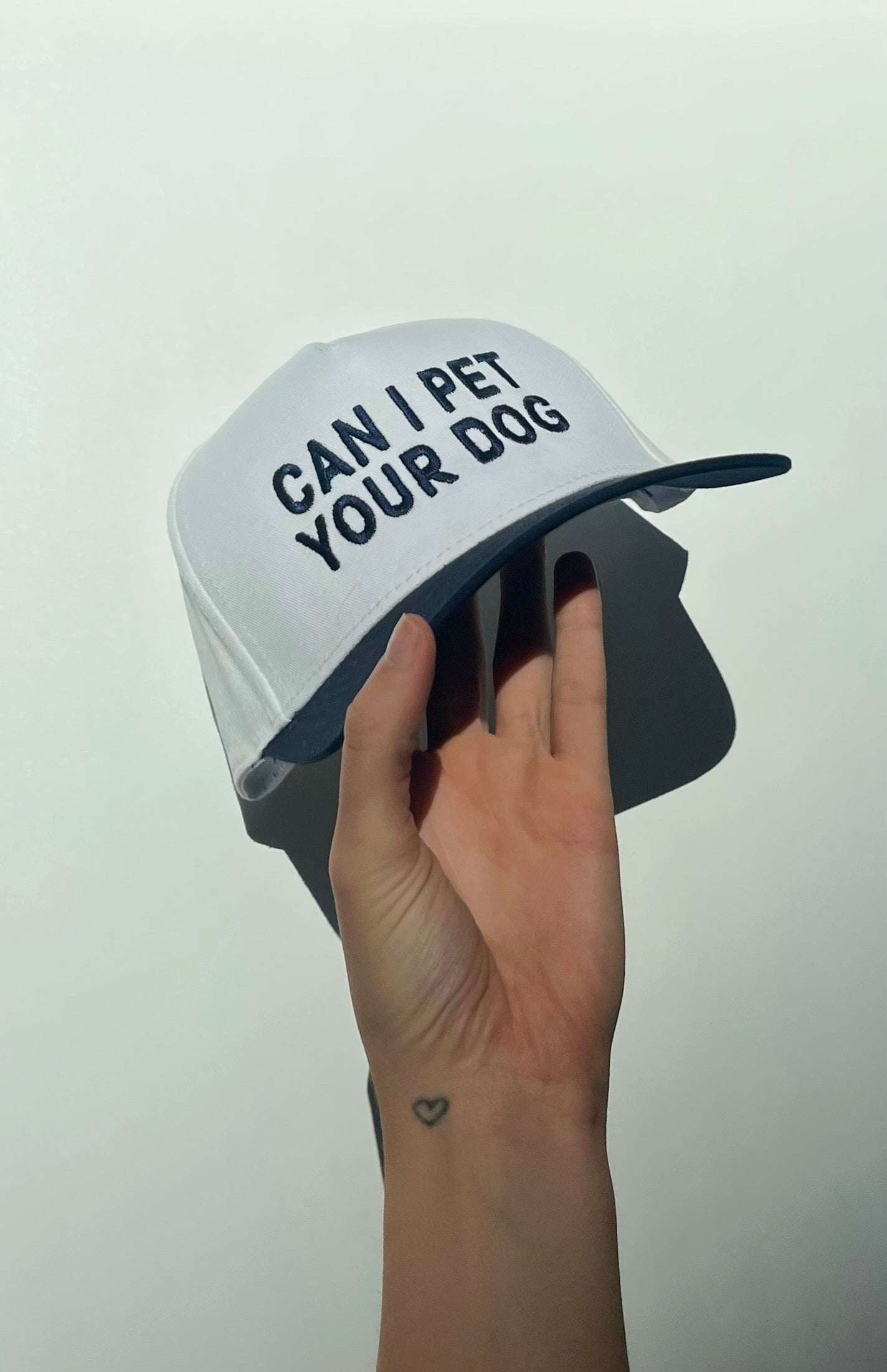 “Can I Pet Your Dog” Vintage Trucker Hat